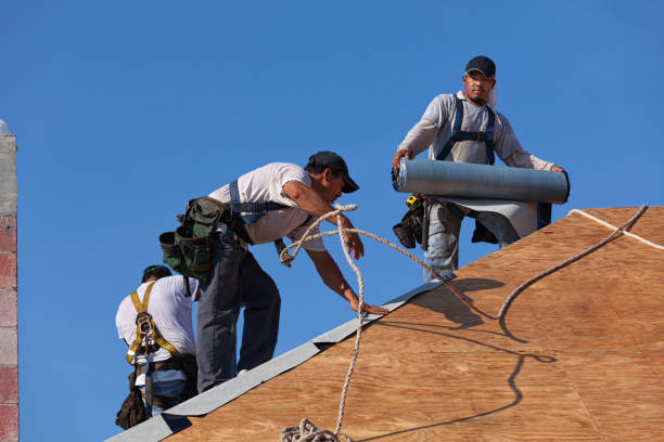 Best Metal Roofing Contractor  in Darrington, WA