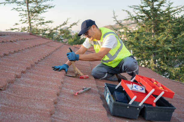 Best Roof Leak Repair  in Darrington, WA
